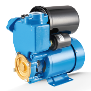 PS Self priming Peripheral Pump