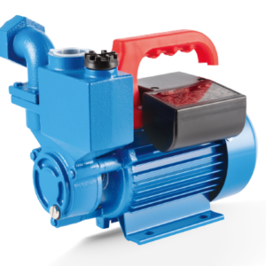 DBZ elestar water pump